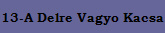 13-A Delre Vagyo Kacsa