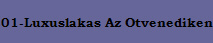 01-Luxuslakas Az Otvenediken