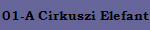 01-A Cirkuszi Elefant