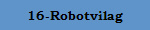 16-Robotvilag