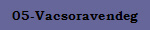 05-Vacsoravendeg