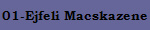 01-Ejfeli Macskazene